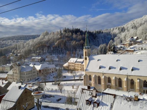 Apartmán Albreit 1 Jáchymov